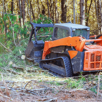 Brush Clearing